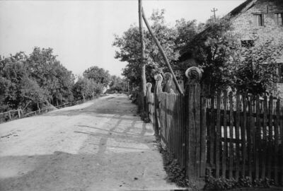 Desno Trebarjevo (Martinska Ves) - Mjesna prometnica i uz nj