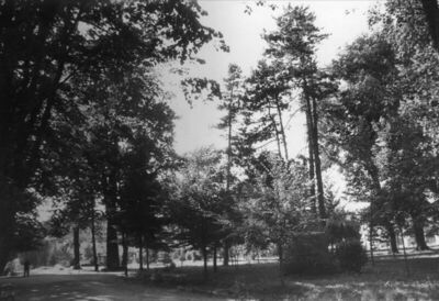 Dvor na Uni - Park koji potječe iz 1881. godine