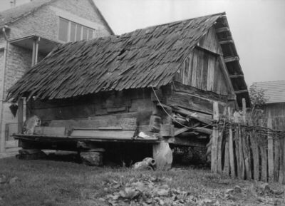 Lovska (Novska) - Svinjac (pogled iskosa na začelje i desnu 