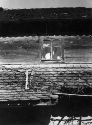 Krapje (Jasenovac) - Kuća br. 9, vlasnici Kata i Ivo Junaci,