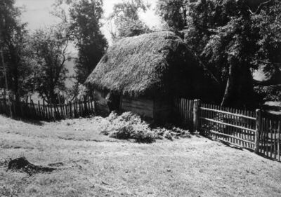 Zut (Dvor na Uni) - Kuća Rade Trivanovića, kbr. 32