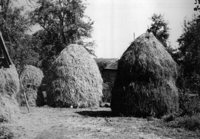 Švrakarica (Dvor na Uni) - Stogovi sijena u vlasništvu Jose 