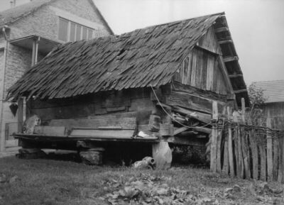 Lovska (Novska) - Svinjac (pogled iskosa na začelje i desnu 