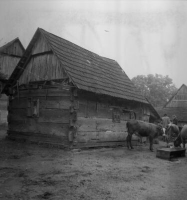 Donja Letina (Sunja) - Stara „iža“ čije su tesane planjke na