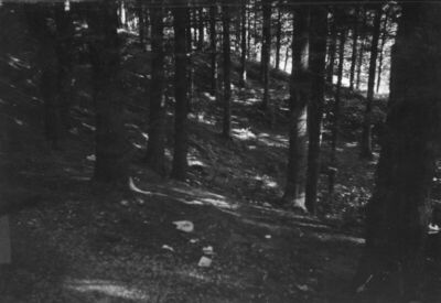Hrvatska Kostajnica - Brdo Djed, šanac Landonove utvrde, sa 