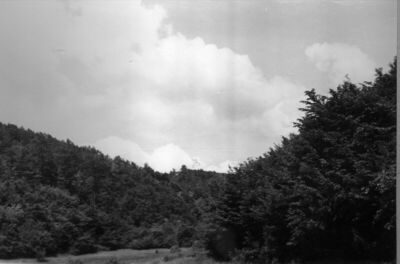 Jelengrad (Velika Ludina) - Ruševni srednjovjekovni burg - S