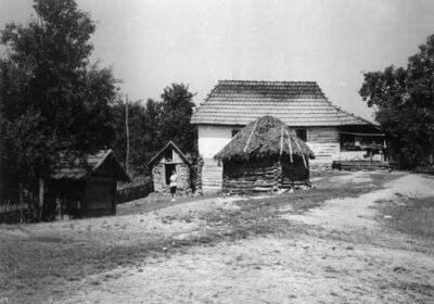 Zut (Dvor na Uni) - Pogled na okućnicu Rade Trivanovića