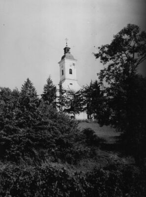 Gornji Viduševac (Glina) - Župna crkva Sv. Franje Ksaverskog